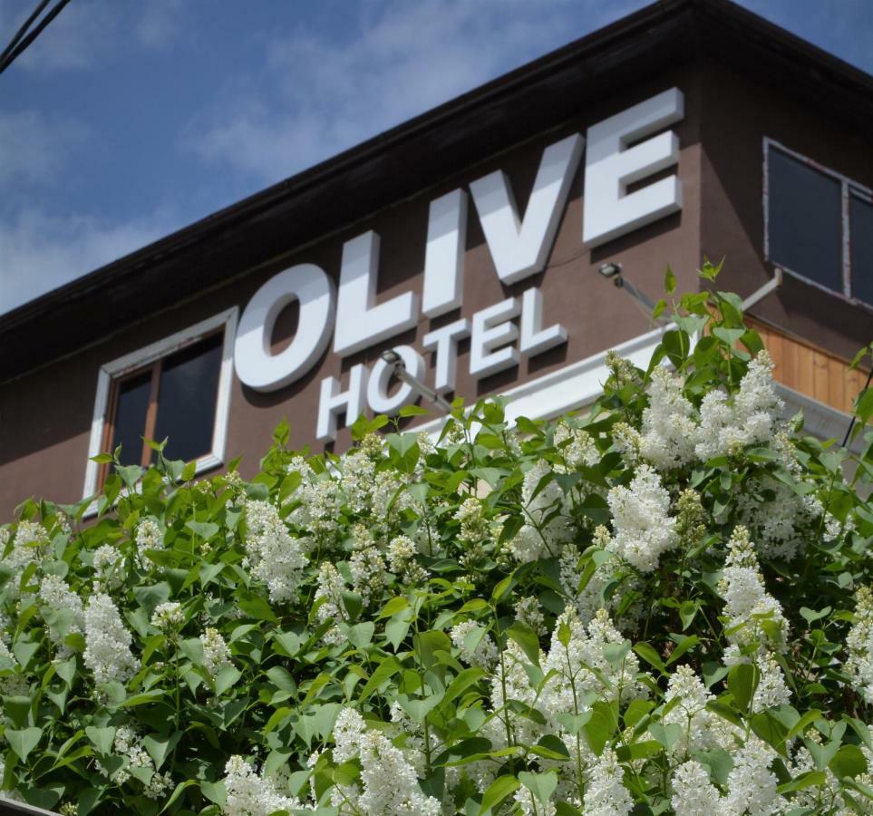 Olive Hotel Bishkek Exterior foto